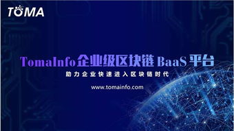 泡沫or新生 如何看待顛覆性的tomainfo項(xiàng)目