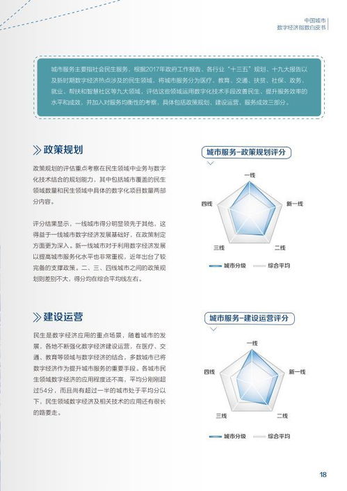 2018中國城市數字經濟指數白皮書 