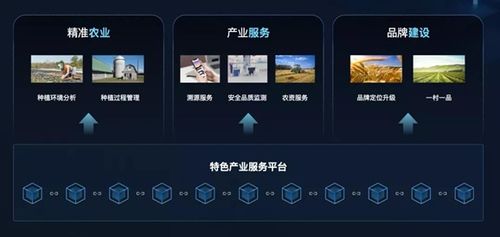 區塊鏈技術賦能鄉村振興 趣鏈科技推出數字鄉村區塊鏈基礎平臺