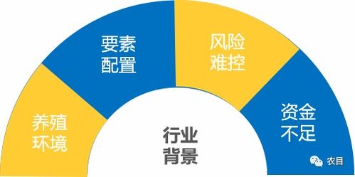 畜牧業養殖產業鏈大數據平臺 共享養殖新模式,共榮魯南經濟圈